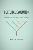 Cultural Evolution (eBook, ePUB)