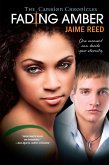 Fading Amber (eBook, ePUB)
