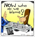 NOW Who Do We Blame? (eBook, ePUB)