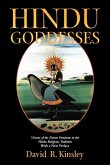 Hindu Goddesses (eBook, ePUB)