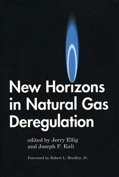 New Horizons in Natural Gas Deregulation (eBook, PDF) - Ellig, Jerome R.; Kalt, Joseph P.