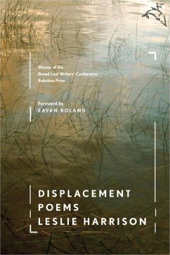 Cover Displacement (eBook, ePUB)