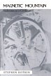 Magnetic Mountain (eBook, ePUB) - Bild 1