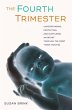 The Fourth Trimester (eBook, ePUB) - Bild 1