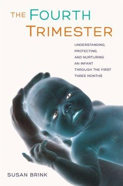 Cover The Fourth Trimester (eBook, ePUB)