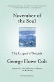 November of the Soul (eBook, ePUB)
