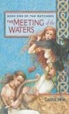 The Meeting of the Waters (eBook, ePUB)