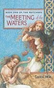 Cover The Meeting of the Waters (eBook, ePUB)
