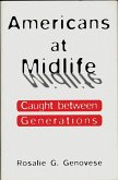 Americans at Midlife (eBook, PDF)