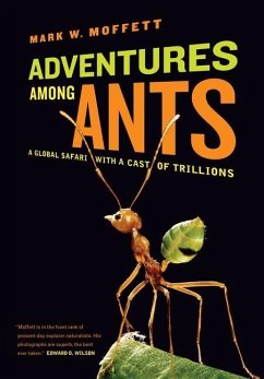Adventures among Ants (eBook, ePUB) - Moffett, Mark W.