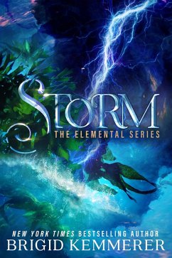 Storm (eBook, ePUB) - Kemmerer, Brigid