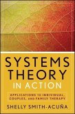 Systems Theory in Action (eBook, PDF)