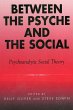 Between the Psyche and the Social... - Bild 1