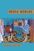 Media Worlds (eBook, ePUB)