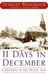 11 Days in December (eBook, ePUB) - Bild 1