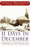 11 Days in December (eBook, ePUB)