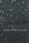 God Particles (eBook, ePUB)