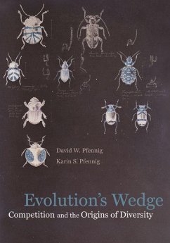 Cover Evolution's Wedge (eBook, ePUB)