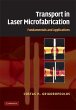 Transport in Laser Microfabrication... - Bild 1