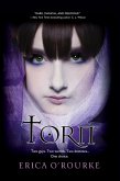 Torn (eBook, ePUB)