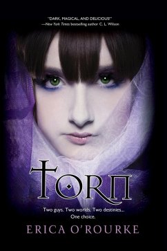 Torn (eBook, ePUB) - O'Rourke, Erica