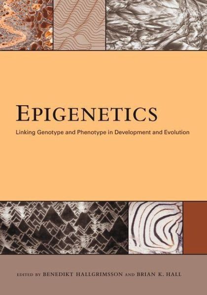 Epigenetics (eBook, ePUB)