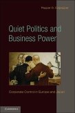 Quiet Politics and Business Power (eBook, ePUB)