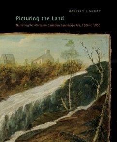 Cover Picturing the Land (eBook, PDF)