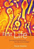 First Life (eBook, ePUB)