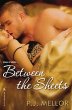 Between The Sheets (eBook, ePUB) - Bild 1
