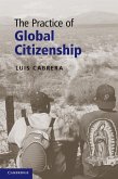 Practice of Global Citizenship (eBook, ePUB)