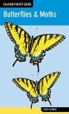 Butterflies & Moths (eBook, ePUB)