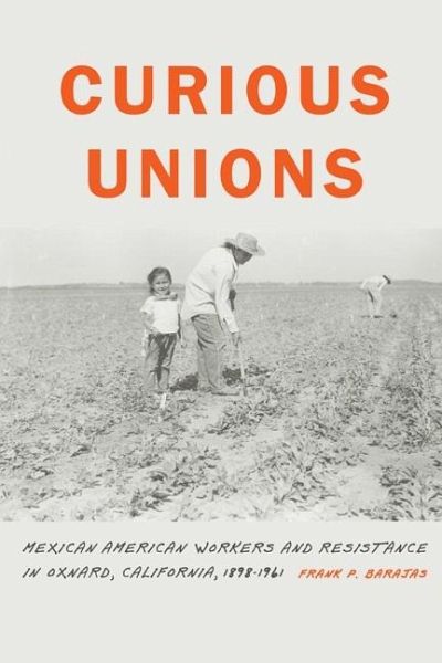 Curious Unions (eBook, PDF) Curious Unions (eBook, PDF)