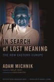 In Search of Lost Meaning (eBook, ePUB)
