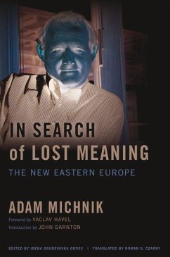 Cover In Search of Lost Meaning (eBook, ePUB)