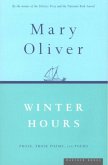 Winter Hours (eBook, ePUB)