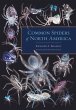 Common Spiders of North America (eBook,... - Bild 1