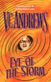 Eye of the Storm (eBook, ePUB)