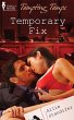 Temporary Fix (eBook, ePUB) - Bild 1