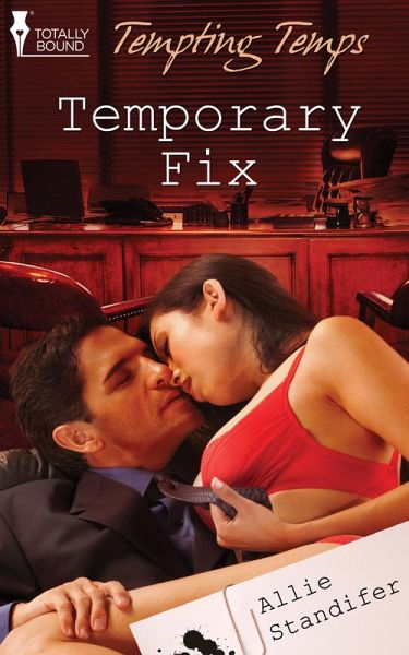 Temporary Fix (eBook, ePUB)