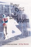 In Your Eyes a Sandstorm (eBook, ePUB)