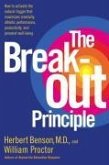 The Breakout Principle (eBook, ePUB)