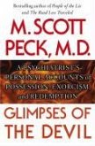 Glimpses of the Devil (eBook, ePUB)