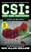 Cold Burn (eBook, ePUB) - Collins, Max Allan