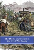 The Black Experience in the Civil War South (eBook, PDF)