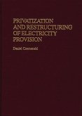 Privatization and Restructuring of Electricity Provision (eBook, PDF)