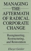 Managing the Aftermath of Radical Corporate Change (eBook, PDF)