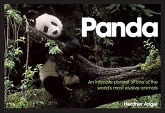 Panda (eBook, ePUB)