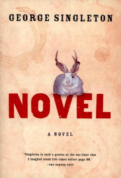 Cover Novel (eBook, ePUB)