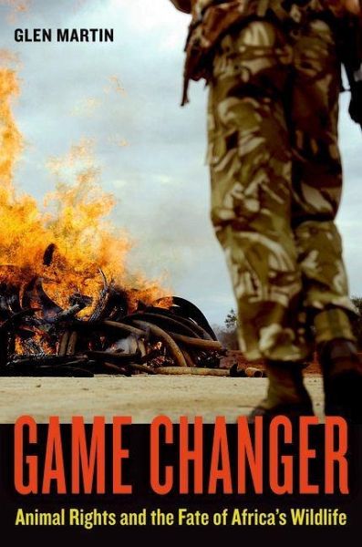 Game Changer (eBook, ePUB) Game Changer (eBook, ePUB)